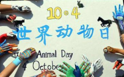 世界动物日是多久？世界动物日的由来是什么？